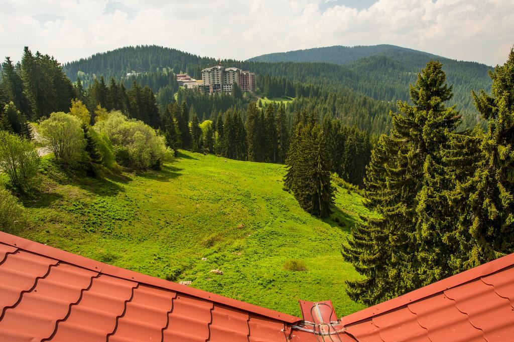 Snezhanka Hotel Пампорово Экстерьер фото